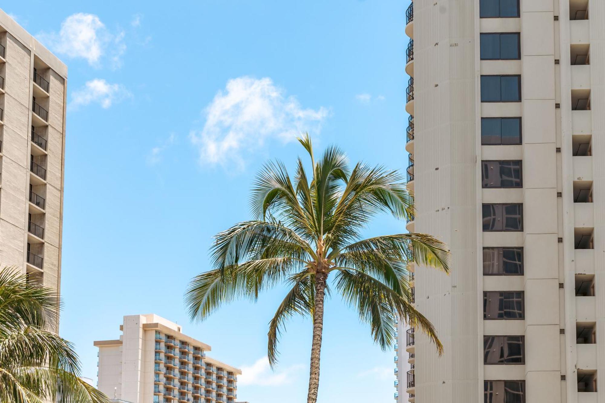Aloha Vibes With Ocean Views, Near Beach & Parking! Honolulu Dış mekan fotoğraf