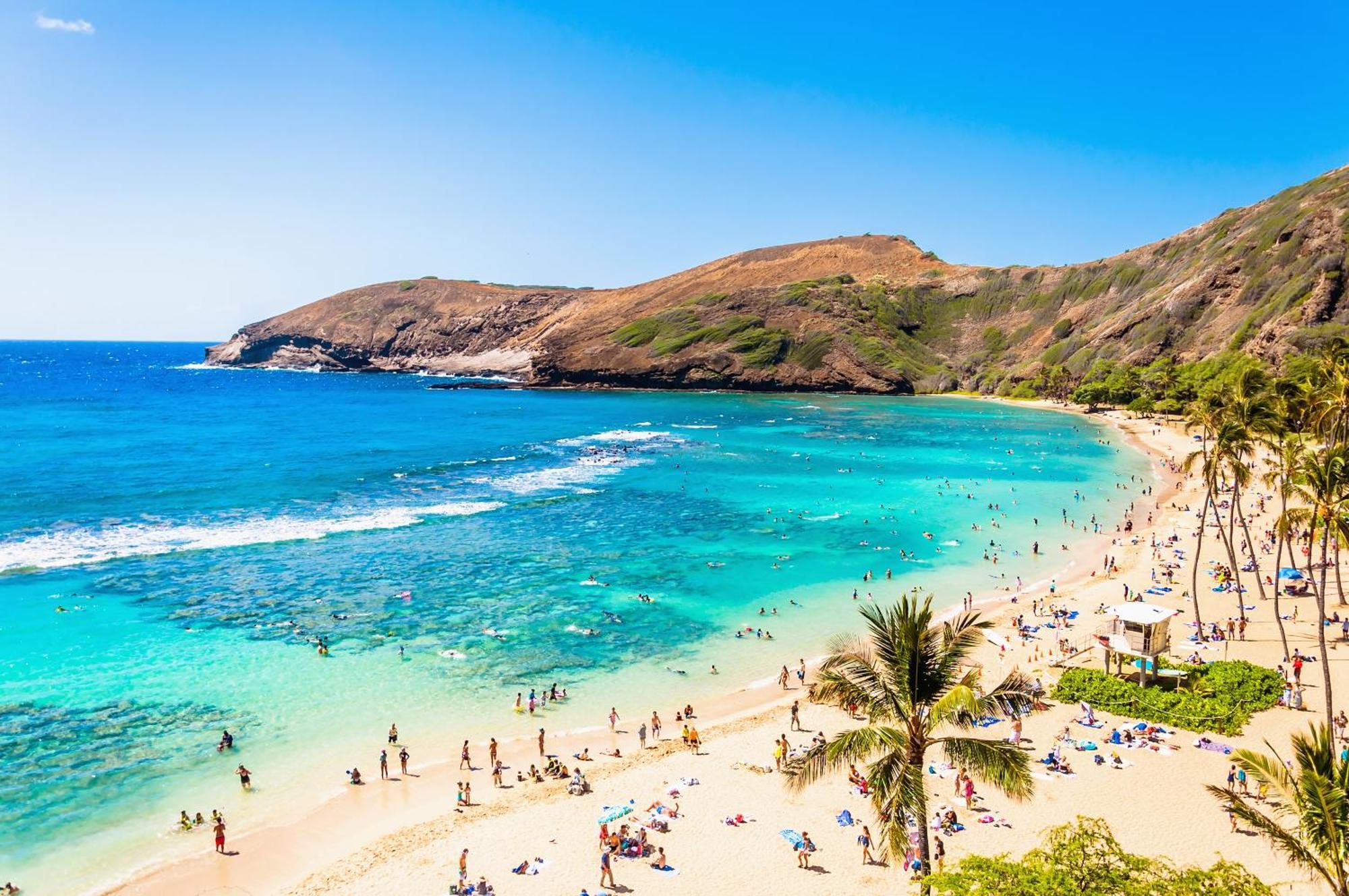 Aloha Vibes With Ocean Views, Near Beach & Parking! Honolulu Dış mekan fotoğraf