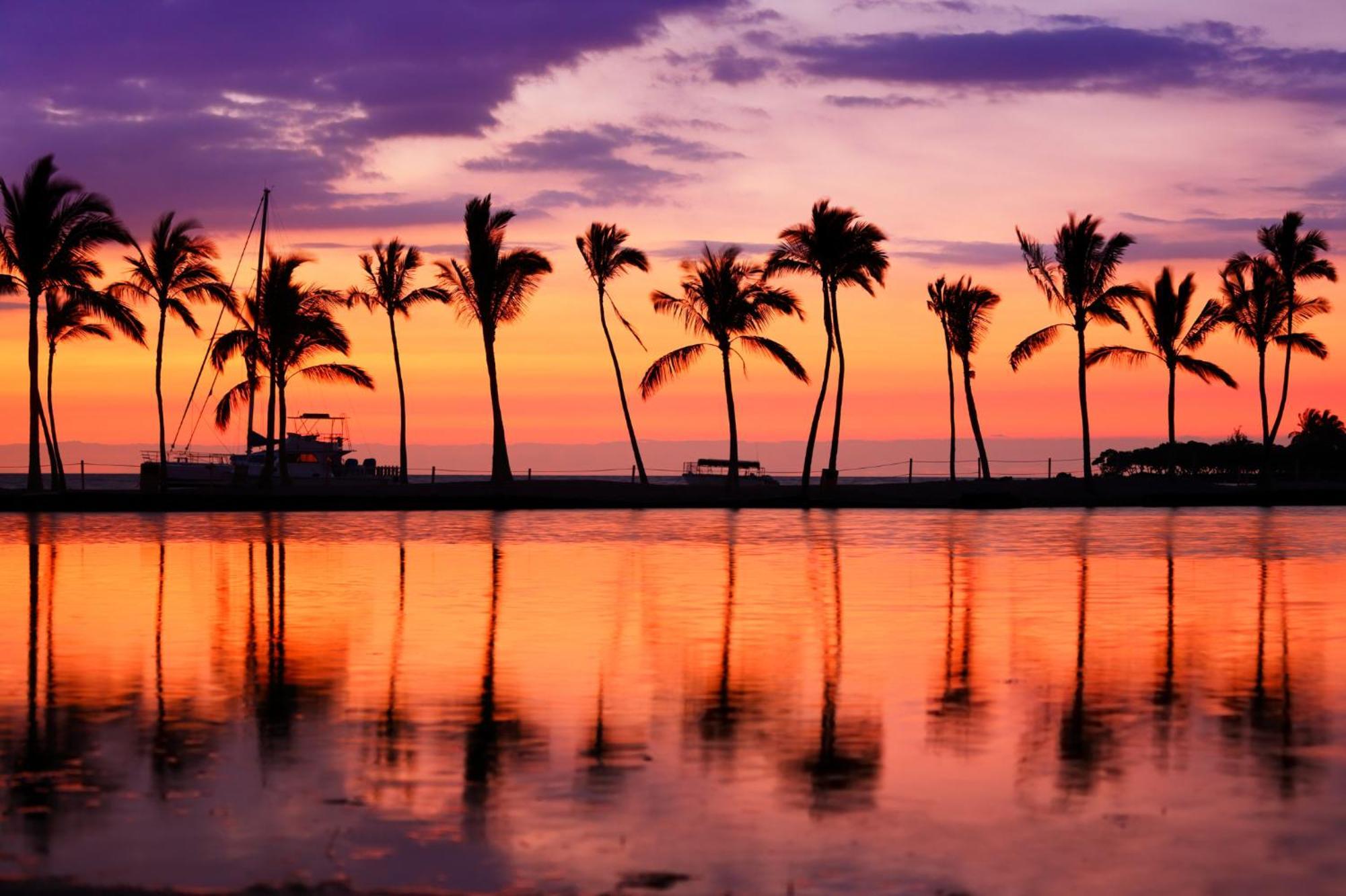 Aloha Vibes With Ocean Views, Near Beach & Parking! Honolulu Dış mekan fotoğraf
